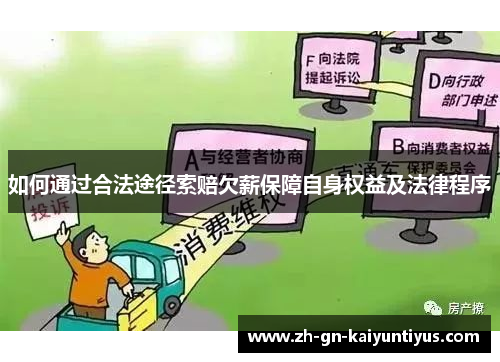 如何通过合法途径索赔欠薪保障自身权益及法律程序