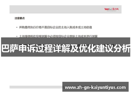 巴萨申诉过程详解及优化建议分析