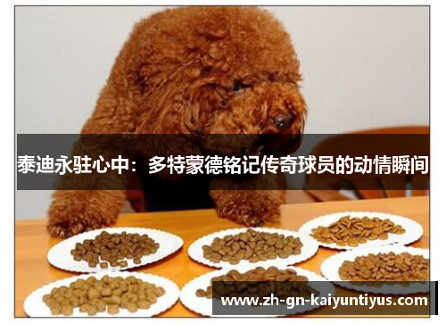 泰迪永驻心中：多特蒙德铭记传奇球员的动情瞬间