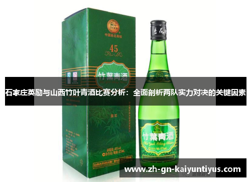石家庄英励与山西竹叶青酒比赛分析：全面剖析两队实力对决的关键因素