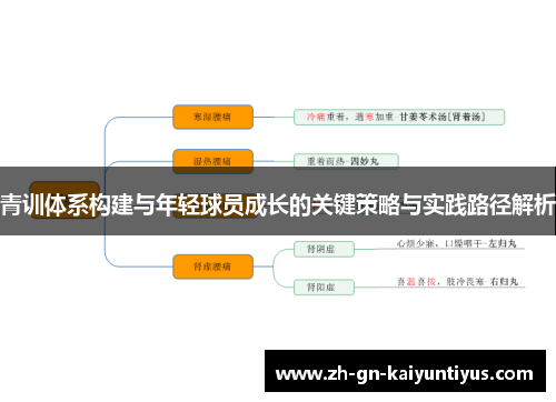 青训体系构建与年轻球员成长的关键策略与实践路径解析
